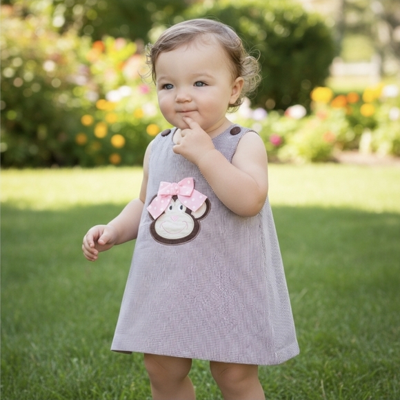 Castles & Crowns ✦ Monkey Applique Dress ✦ Brown Gingham Pink Bow Size 5T NWOT - Picture 3 of 14